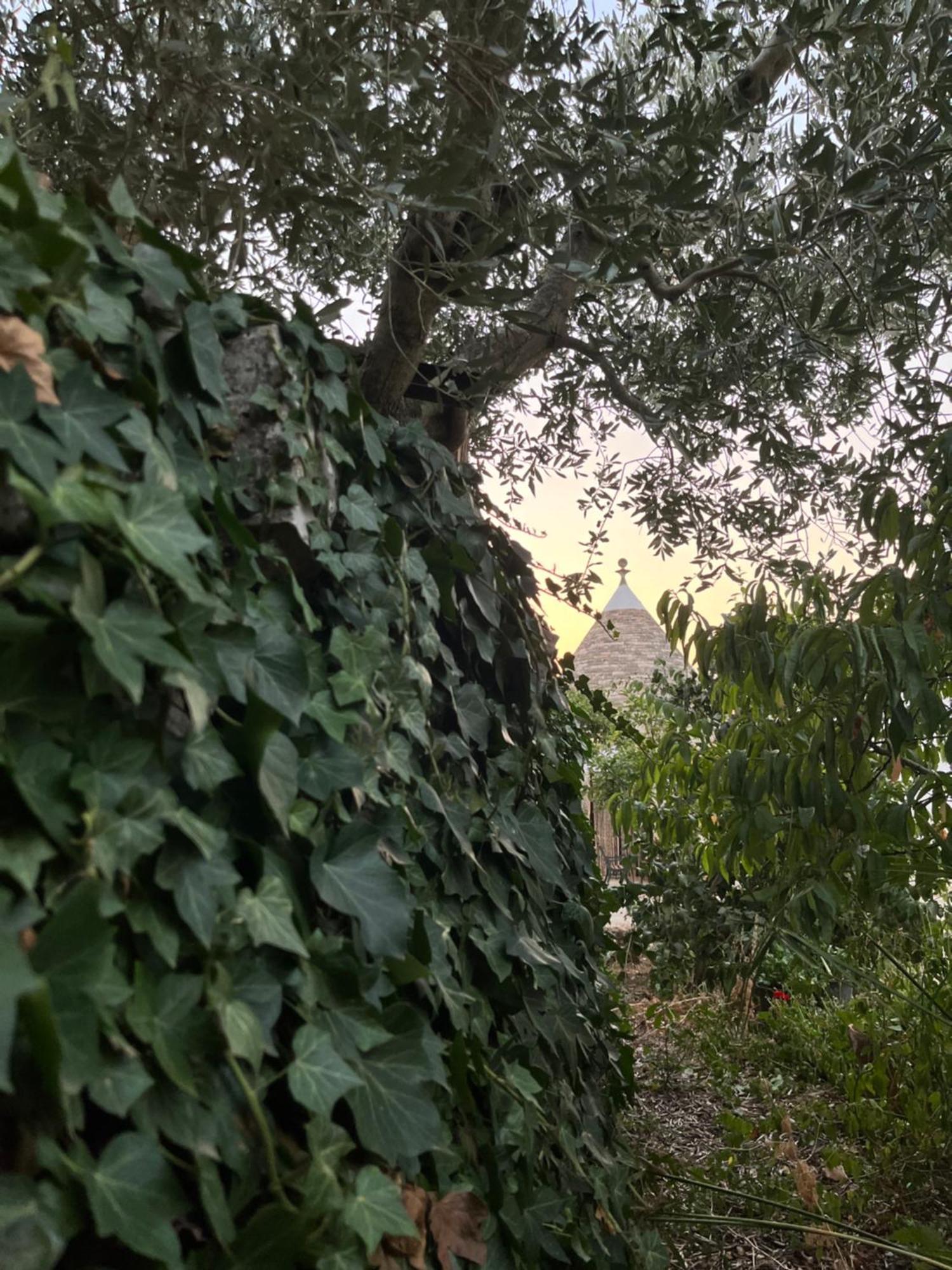 Borgo Miceli Da Giovanni Locorotondo Buitenkant foto