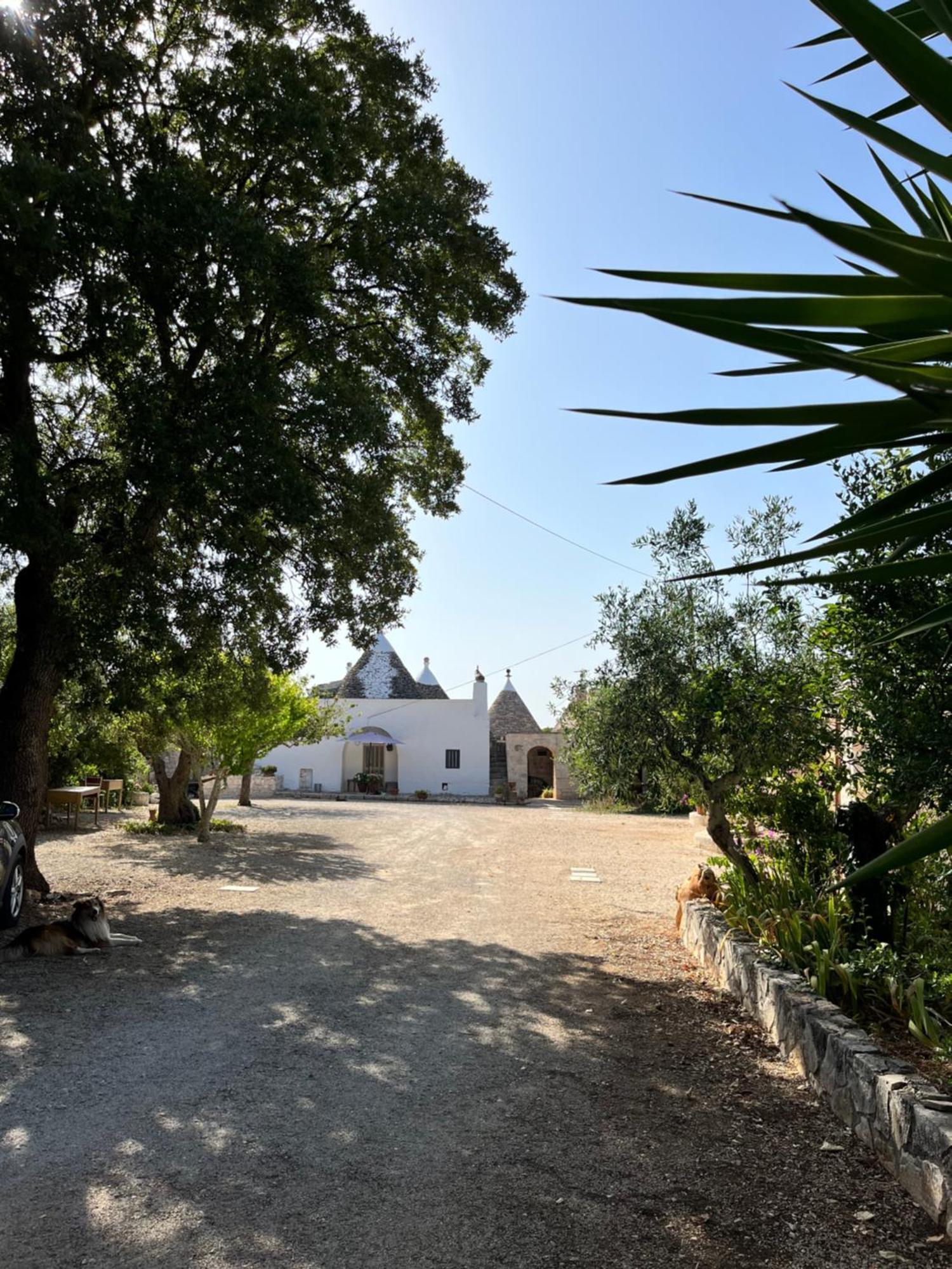 Borgo Miceli Da Giovanni Locorotondo Buitenkant foto
